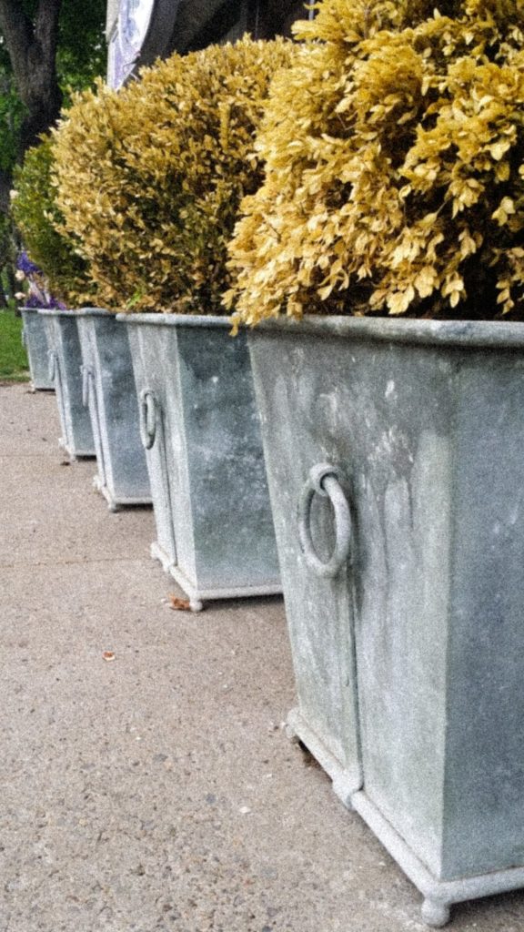 concrete square planters